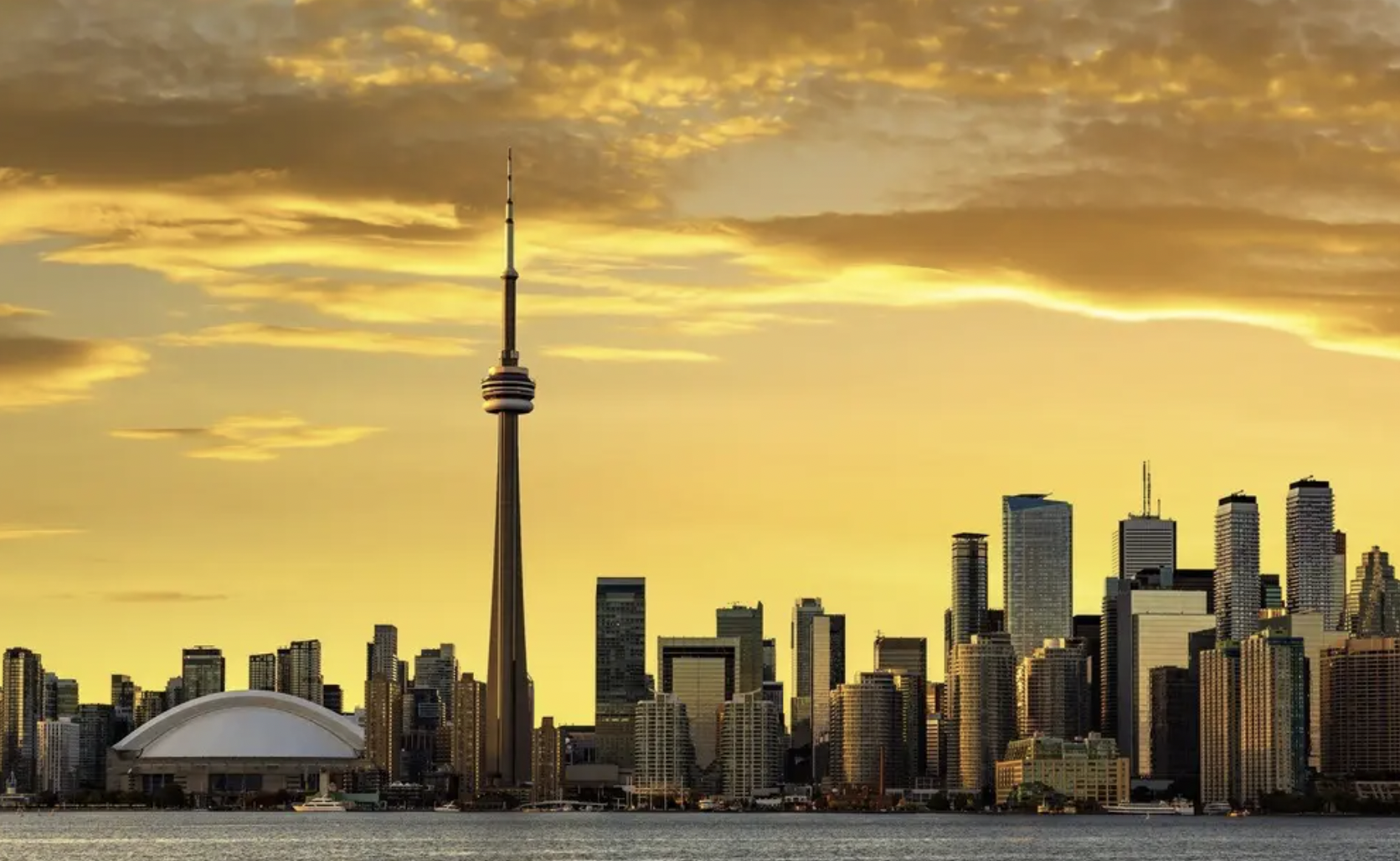 Navigating Toronto Rentals: A Guide to Finding Your Perfect Rental